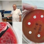 Бактерия човекоядец