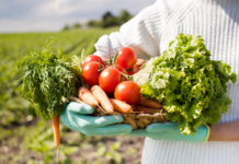 Биологично земеделие