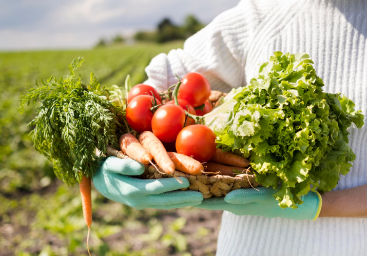 До края на месец ноември ще изплатим основното подпомагане за
