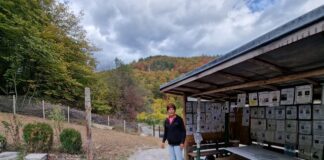 село Бостина