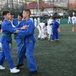 Бойни спортове