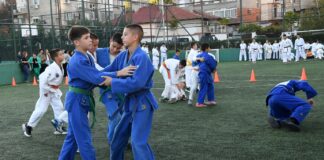 Бойни спортове