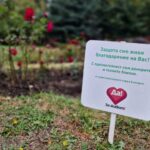 Розова градина зад НДК