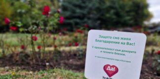 Розова градина зад НДК