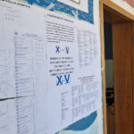 Избори 2024, Гласуване в Търговище