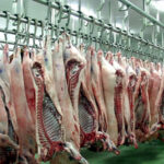 Говеждо месо