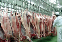 Говеждо месо