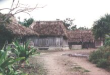 Град на маите