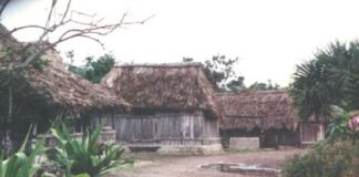 Град на маите