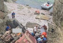 Инцидент с камион край Арапя