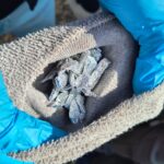 Канабис и амфетамин