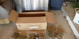 канабис село стоб