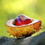 Слънчево време