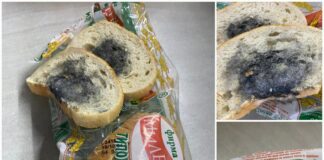 Мухлясал хляб