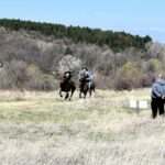 Конен спорт