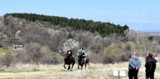 Конен спорт