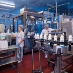 Ел Би Булгарикум