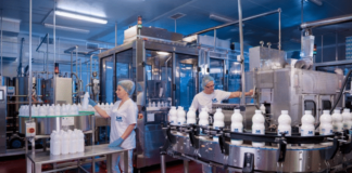 Ел Би Булгарикум