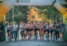 Лекоатлетически крос