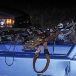 Ловни оръжия