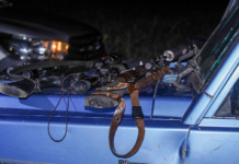 Ловни оръжия