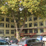 МБАЛ Пазарджик