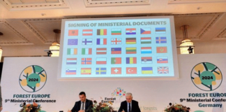 Международна конференция за горите