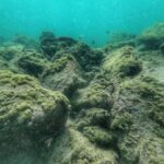 Морско дъно