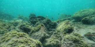 Морско дъно