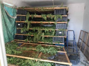 narkoferma kray burgas