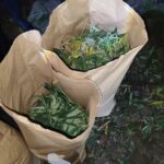 Наркотиците