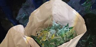 Наркотиците