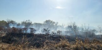 Депото за утайки на ВиК-Пловдив продължава на тлее