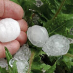 Природни бедствия, градушки