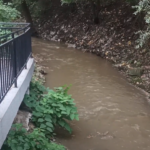 Река Новачица