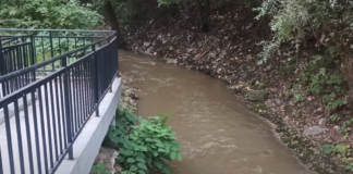 Река Новачица