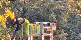 Резитба на клони