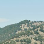 Родопа планина, Община Асеновград