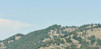 Родопа планина, Община Асеновград