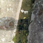 Фекални води в река