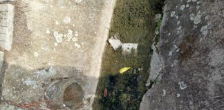 Фекални води в река