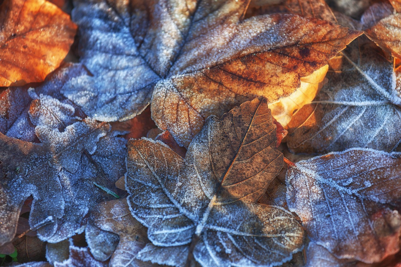 Сутринта във високите полета и котловините в Западна България ще