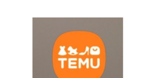 Китайска платформа Temu Виетнам