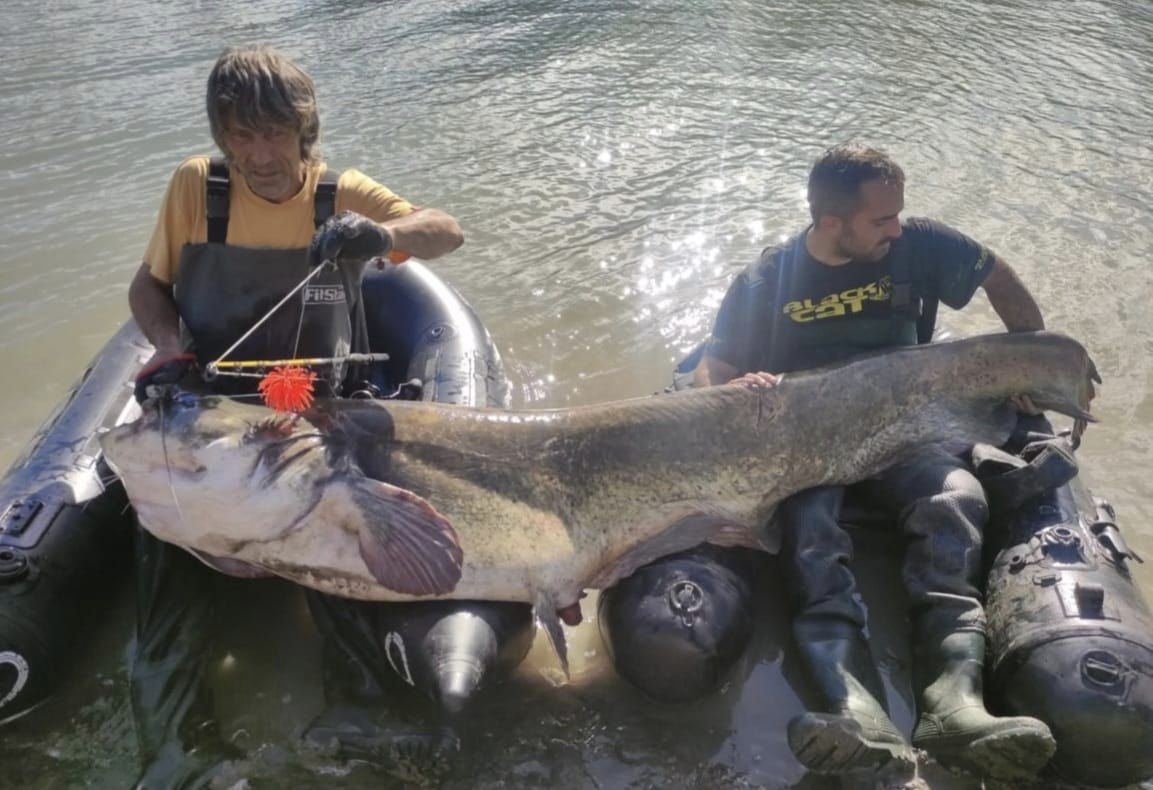 Трима рибари уловиха сом с впечатляващи размери в района на