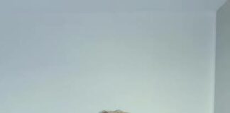 Снимката изобразява българската фигусристка Александра Фейгин, която спечели сребърен медал на международно състезание