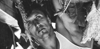 Димо Алексиев