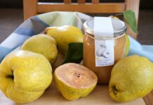 Дюлята за есен