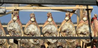 Еленски бут