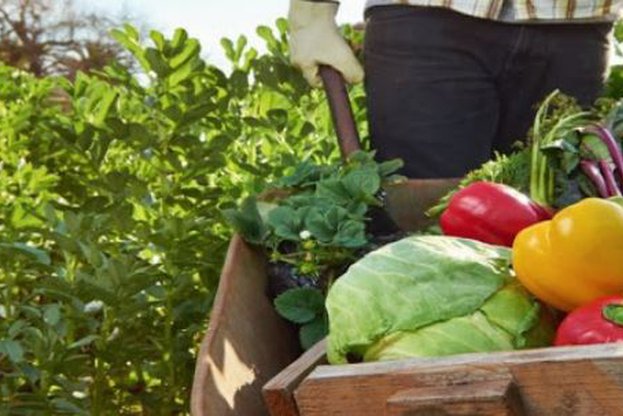 Малките ферми