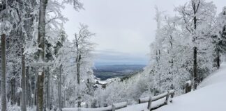 Фрайбург в Европа